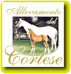 Collaborazionilogo_Del_Cortese_Logo1